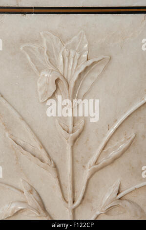 Agra, Uttar Pradesh, India. The Taj Mahal; detail of floral carving on a bas relief marble panel. Stock Photo