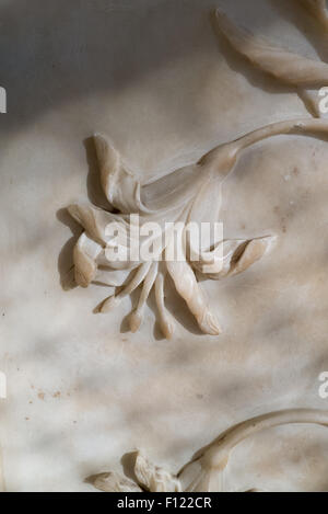 Agra, Uttar Pradesh, India. The Taj Mahal; detail of floral carving on a bas relief marble panel. Stock Photo