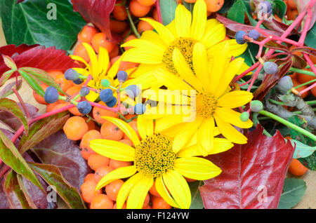 multicolored autumn plant and flowers composition Stock Photo