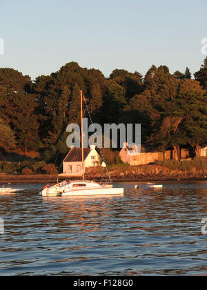 Gulf of Morbihan: boats moored off Île-aux-Moines Stock Photo