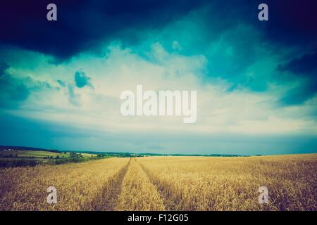 Vintage photo of storm clouds over wheat field. Danger weather with dark sky over fields- photo with vintage mood effect. Stock Photo