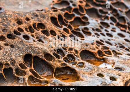 Intricate rock formation pattern on a beach in Dorset, England, UK. Stock Photo