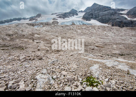 In front of the Marmolada glacier, Ghiacciaio della Marmolada, Marmolada, Dolomites, Trentino Province, Province of South Tyrol Stock Photo