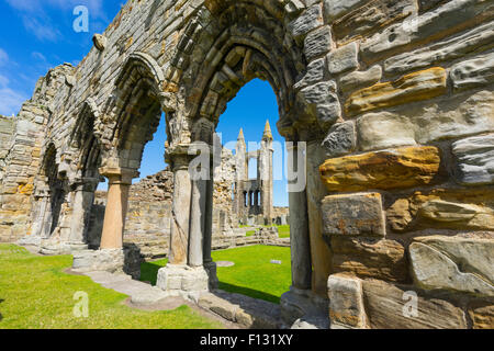 Ruins of St Andrews Cathedral St Andrews Fife, Scotland Stock Photo