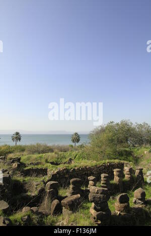 Israel, Tel Hadar at the Sea of Galilee Stock Photo - Alamy