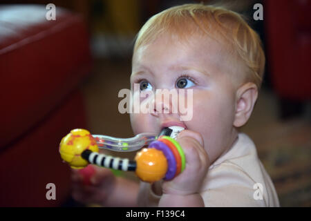 An eleven month old baby chewing on a plastic teething ring to alleviate the pain and discomfort of tooth ache. Stock Photo