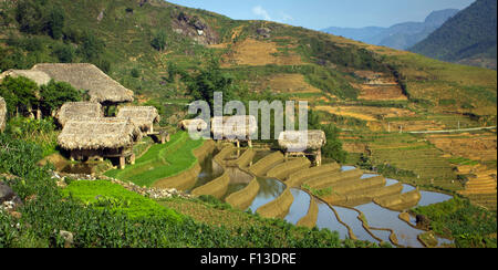 Thatched huts and rice terraces, Sapa, Vietnam Stock Photo
