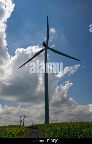 Wind turbine farm creates renewable electrical energy near Turin, NY.(Backlit) Stock Photo