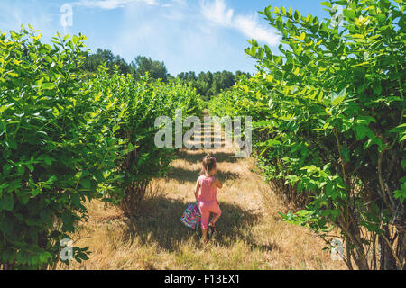 Rear view of a girl walking through an orchard Stock Photo