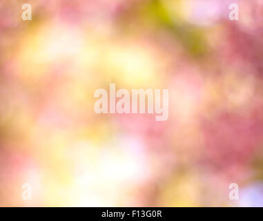 Background blur bright multi-colored natural lighting. Stock Photo
