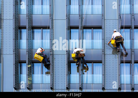Three climbers wash windows and glass facade of the skyscraper Stock Photo