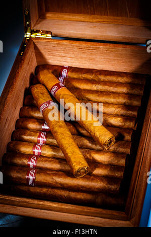 Close up of cigars in open humidor box Stock Photo