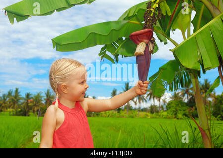 Happy small child exploring nature - examining big banana flower and fruits growing on green tree. Healthy children lifestyle Stock Photo