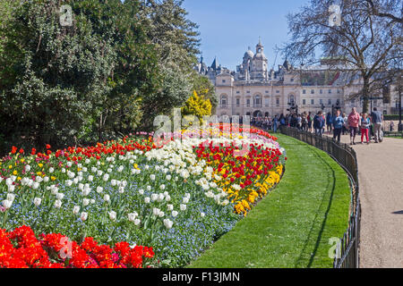 London, St James's Park  Spring floral display, with Horse Guards in the background Stock Photo