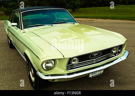 1968 Ford Mustang GT on pavement Stock Photo