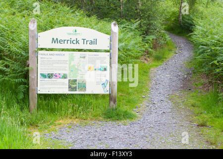 Merrick Trail Footpath, Glen Trool, Galloway Forest Park, Dumfries & Galloway, Scotland, UK Stock Photo