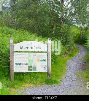 Merrick Trail Footpath, Glen Trool, Galloway Forest Park, Dumfries & Galloway, Scotland, UK Stock Photo