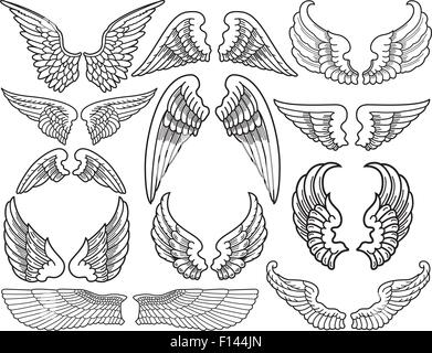Twelve Sets of Angel Wings Stock Vector Image & Art - Alamy