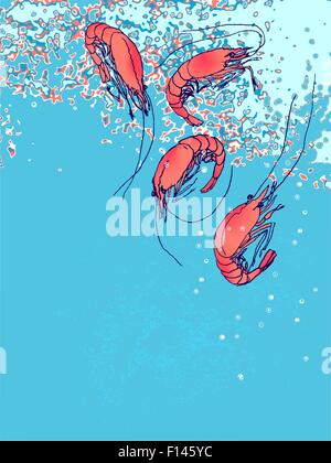 Shrimps in water. Drawn illustration, sketch, doodle. Flyer, banner, brochure, menu design Stock Vector