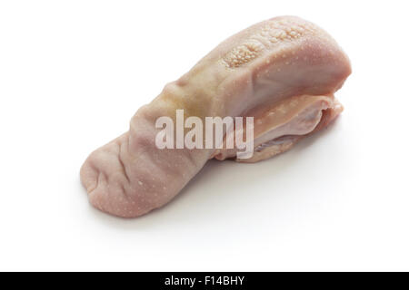 sheep tongue, haggis ingredient isolated on white background Stock Photo