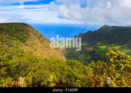 Mount Waiʻaleʻale, often spelled Waialeale in English, is a shield volcano and the second highest point on the island of Kauaʻi Stock Photo