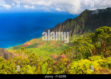 Mount Waiʻaleʻale, often spelled Waialeale in English, is a shield volcano and the second highest point on the island of Kauaʻi Stock Photo