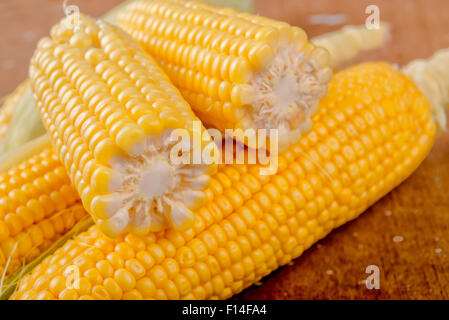 Freshly picked raw corn cob, uncooked sweet ear of maize on rustic blue wood background, close up image, selective focus with sh Stock Photo