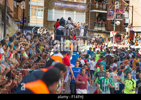 Madrid. 26th Aug, 2015. San Sebastian de los Reyes, the satellite town that slowly orbits Madrid like a crazy exo-planet for party-going Spaniards hell bent on self destruction, hosts its own version of the running of the bulls; a strictly locals only event. This is Pamps without the crap. This is a Spanish-only good old-fashioned 5 day drinking session, with loud music, general street rioting and plenty of very amateur bull running. Bull running on August 26, 2015 in Madrid. Credit:  dpa/Alamy Live News Stock Photo