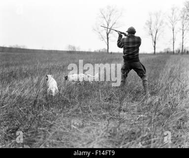 1920s MAN HUNTER WITH SHOTGUN WORKING TWO HUNTING DOGS ON POINT AND HONOR IN GRASSY FIELD Stock Photo