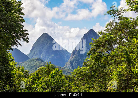 The Pitons St. Lucia West Indies Stock Photo