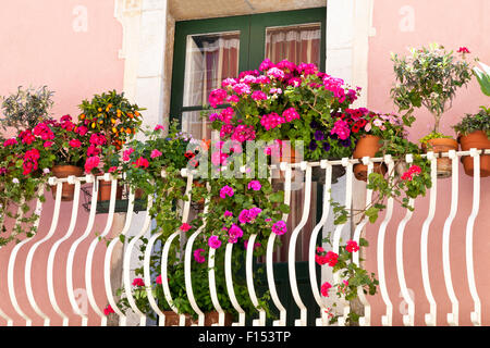 White metal balcony with floral display of colourful hanging plants, small olive, orange trees in an old stone pink building Stock Photo