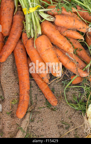 Bunch of all natural farmers market carrots on hemp cloth Stock Photo