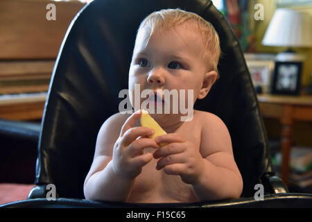 An 11 month old baby sitting in a high chair touching a slice of apple before eating it. Stock Photo