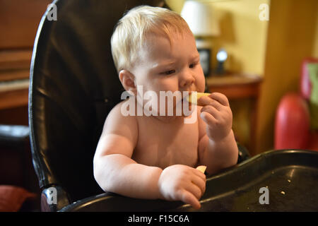 An 11 month old baby sitting in a high chair eating a slice of apple. Stock Photo