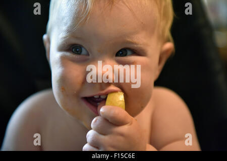 An 11 month old baby sitting in a high chair looking happy eating a slice of apple. Stock Photo