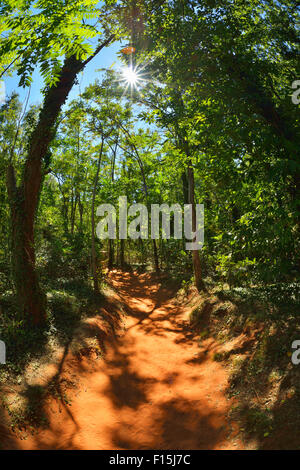 Trail through Ochre Breakage with Sun in Summer, Sentier des Ocres, Roussillon, Vaucluse, Provence, France Stock Photo