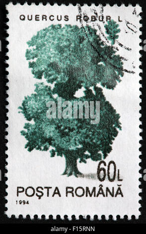 Quercus Robur L 60L posta romana 1994 stamp Stock Photo