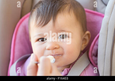 A six months old baby girl eating white yogurt from a spoon and looking at camera Stock Photo