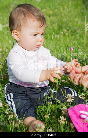 A six months old baby girl sitting on a lawn and picking a flower Stock Photo