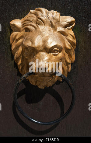 Gilded lion head as door knocker, on a gate, Amberg, Upper Palatinate, Bavaria, Germany Stock Photo