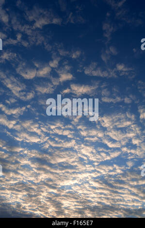 Large altocumulus clouds, Bavaria, Germany Stock Photo