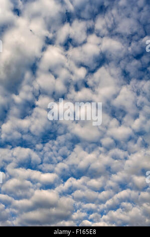 Large altocumulus clouds, Bavaria, Germany Stock Photo