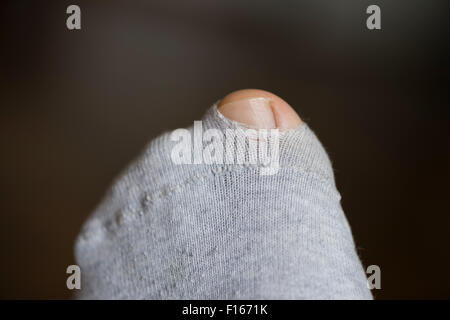 Big Toe of left foot coming through a little hole in a torn sock made of grey cotton Stock Photo