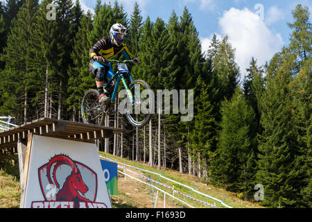 Val Di Sole, Italy - 22 August 2015: Bergamont Hayes Components Factory Team,  Rider Chapman Rupert, in action during the mens Stock Photo