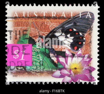 Stamp printed in Australia shows Big Greasy Butterfly and blue lily (Nymphaea violacea), circa 1997 Stock Photo
