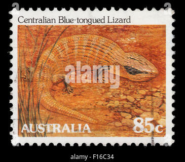 Stamp printed in Australia from the 'Wildlife' ; issue shows a Centralian blue-tongued lizard, circa 1981. Stock Photo