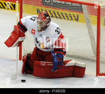 Litvinov, Czech Republic. 27th Aug, 2015. Goalkeeper of Litvinov ...