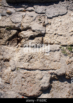 Selective focus. The stones from the limestone on the beach under the bright sunlight, for use as background or wallpaper Stock Photo