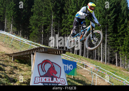 Val Di Sole, Italy - 22 August 2015: Radon Magura Factory Team,  Rider Strasser Benny in action during the mens elite Downhill Stock Photo