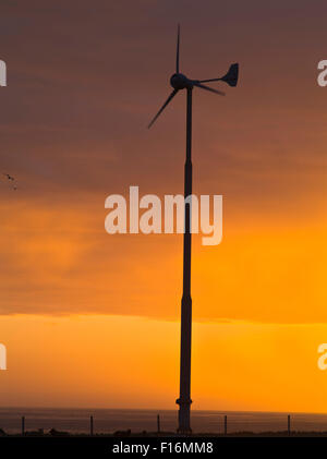 dh  WIND TURBINE UK Sunset wind turbine silhouette windturbine uk Stock Photo